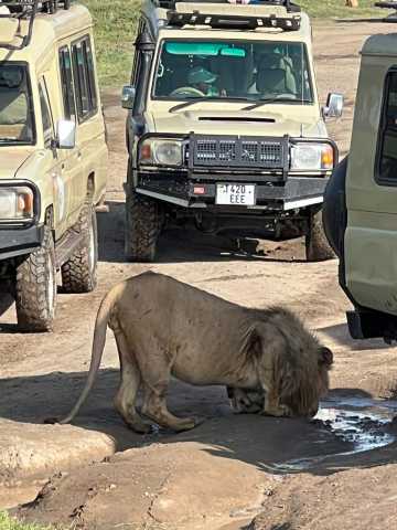 The Signature Luxury Safari Experience