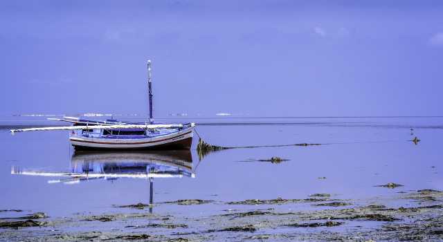 Initiation au Sahara