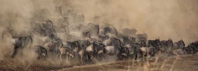 12 jours : Circuit au nord de la Tanzanie & Zanzibar