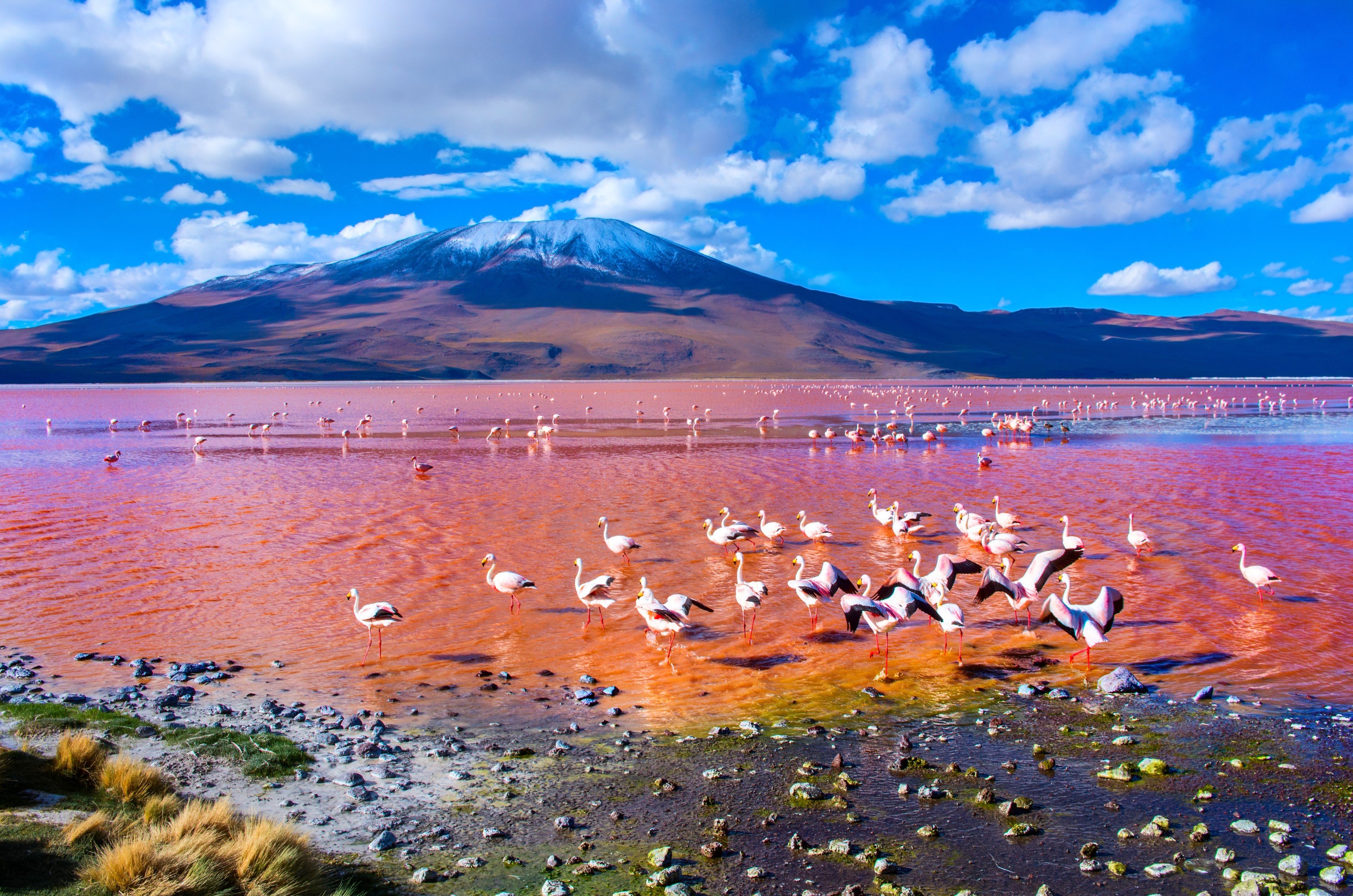 The great open spaces in Bolivia - Villamar - Green Lagoon - Colorada Lagoon - Desert Hotel - Villamar - lagon vert - lagon Colorada - hôtel du désert