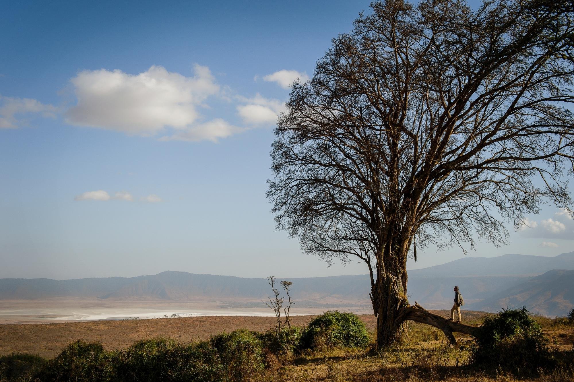 Simba Safari: Discover the Wild Side of Tanzania - Ngorongoro Crater Exploration - Photo of the day
