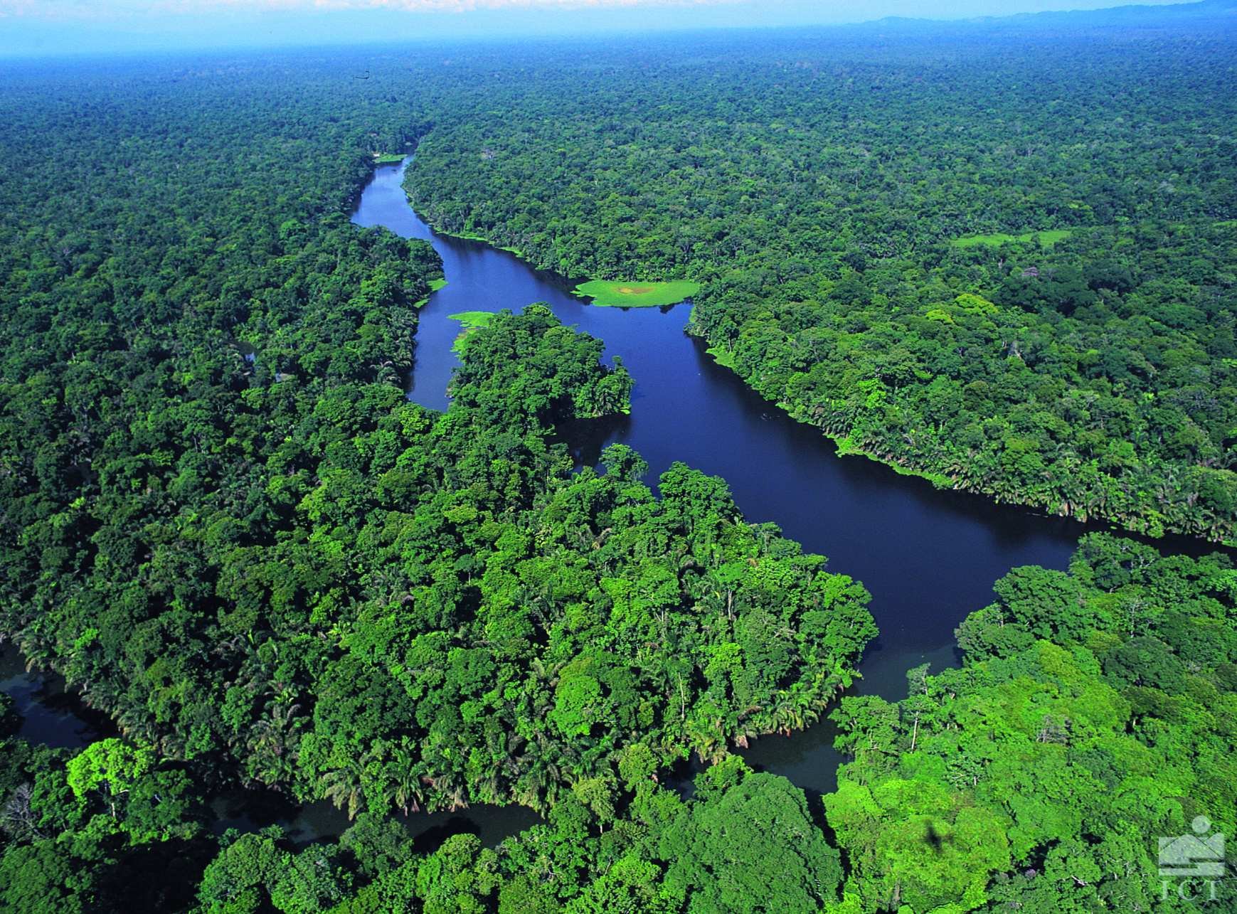 Aventure en famille au pays de l'or vert ! - Parc national Tortuguero - Guápiles - Volcan Arenal - Parc National Tortuguero - Guapiles - Volcan Arenal