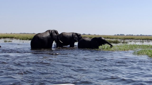 Cataratas Vitória & Botswana