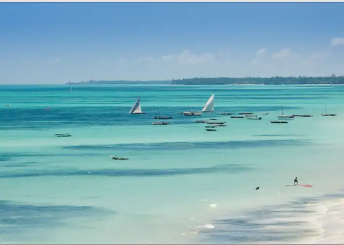 Safári Atemporal na Tanzânia & Escapada a Zanzibar - Voo para Zanzibar & Transfer para o hotel de praia - Foto do dia