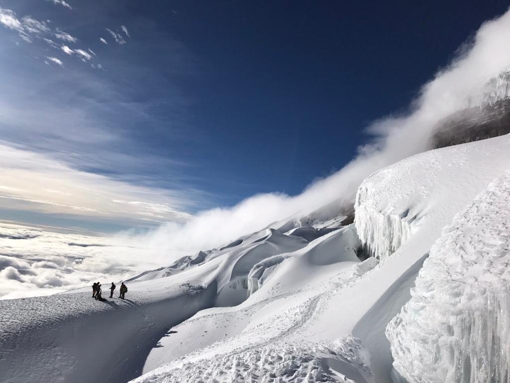 Cotopaxi Lama Express - Descent of Cotopaxi - Photo of the day