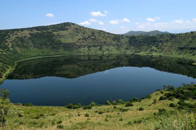 10 days of Ugandan safari for wildlife and gorillas.