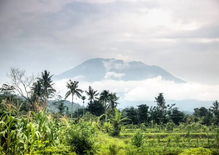 Dorpen, tempels en Balinese natuur - Transfer naar Amed / Ontspanning aan zee - Foto van de dag