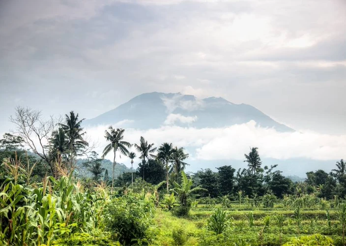 Villaggi, templi e natura balinese - Trasferimento ad Amed / Relax sulla spiaggia - Foto del giorno