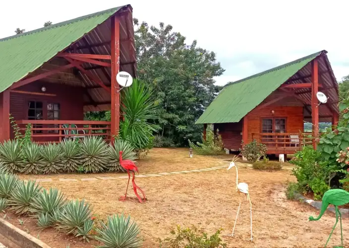 Avontuur in het hart van het nationaal park Lope - Libreville naar Lopé - Foto van de dag