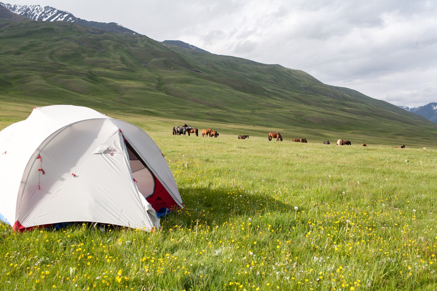 Tailor-made trip to Kyrgyzstan – Hiking in the land of nomads - Hiking - Photo of the day