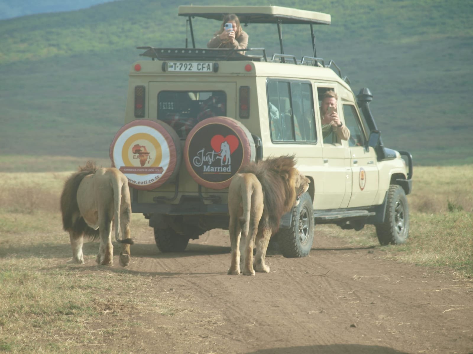 Grande migration et safari de traversée de la rivière Masai Mara - Parc national du Serengeti - Photo du jour