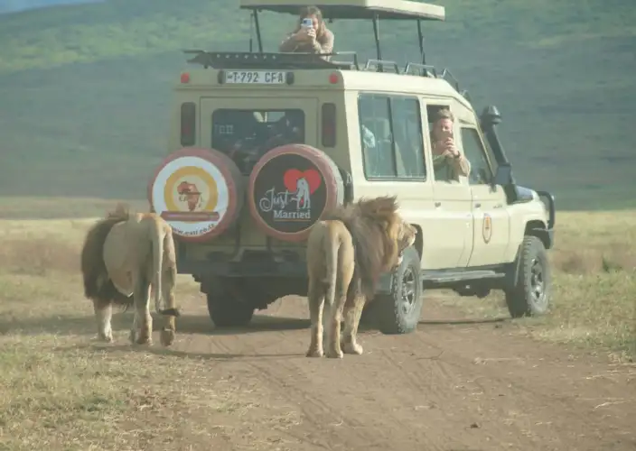Grande migration et safari de traversée de la rivière Masai Mara - Parc national du Serengeti - Photo du jour