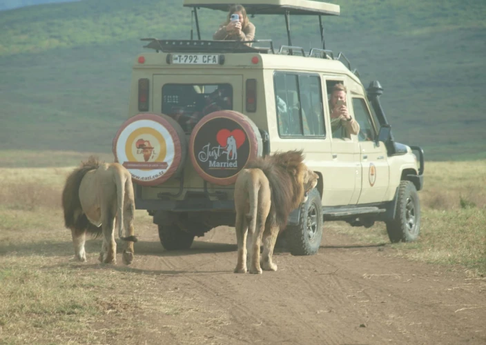Great Migration and Masai Mara River Crossing Safari - Serengeti National Park - Photo of the day