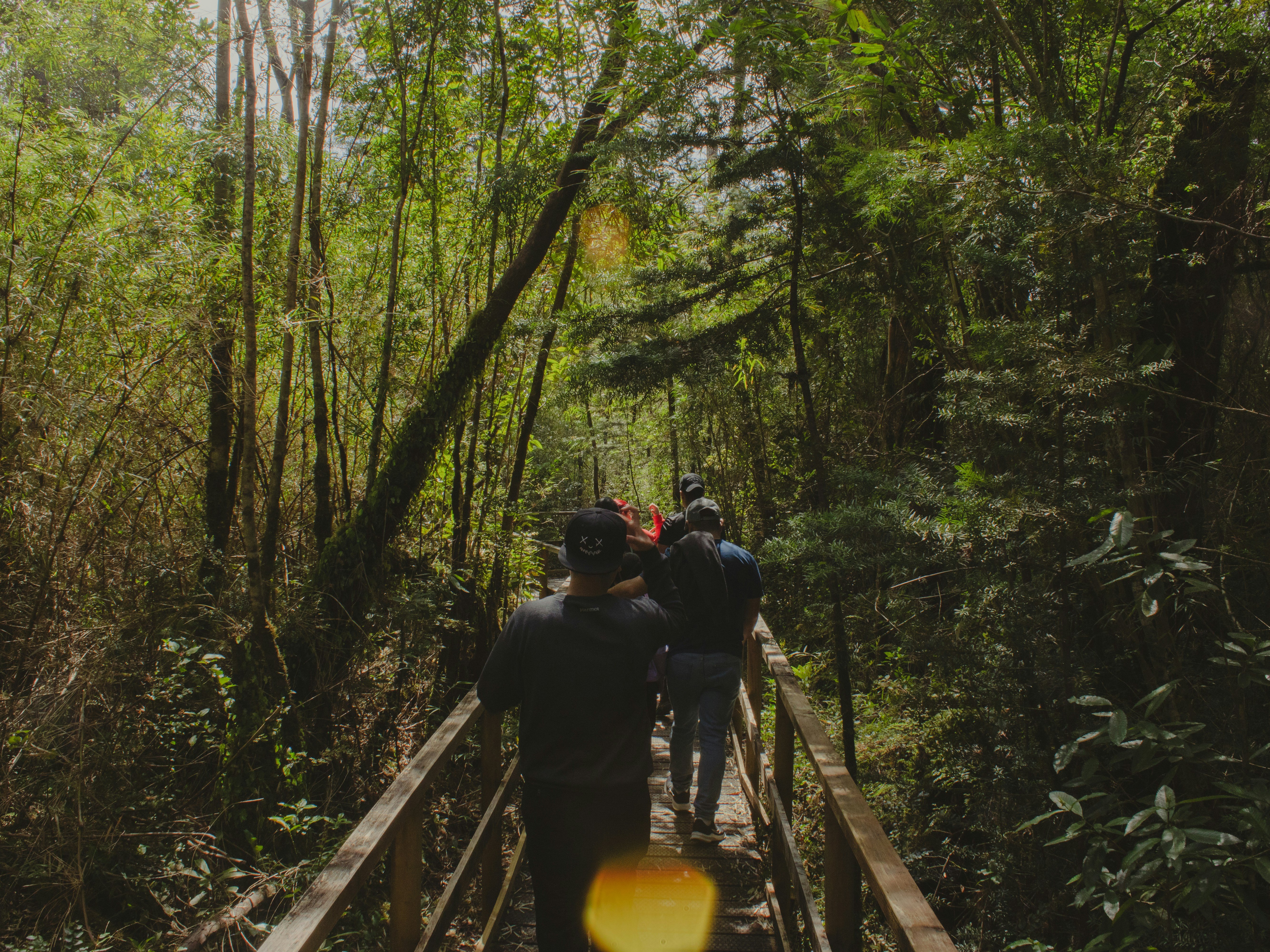 The Ultimate 3-Day Bwindi Gorilla Encounter - The Scenic Journey to the Gorilla Highlands - Photo of the day