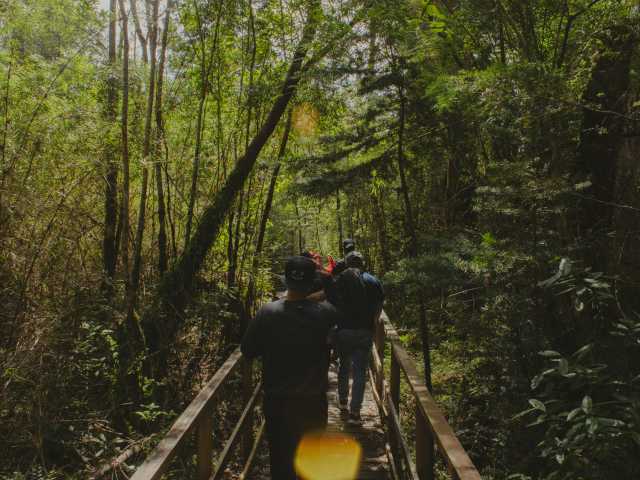 The Ultimate 3-Day Bwindi Gorilla Encounter
