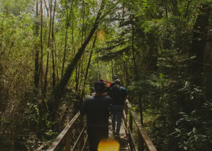 The Ultimate 3-Day Bwindi Gorilla Encounter - The Scenic Journey to the Gorilla Highlands - Photo of the day