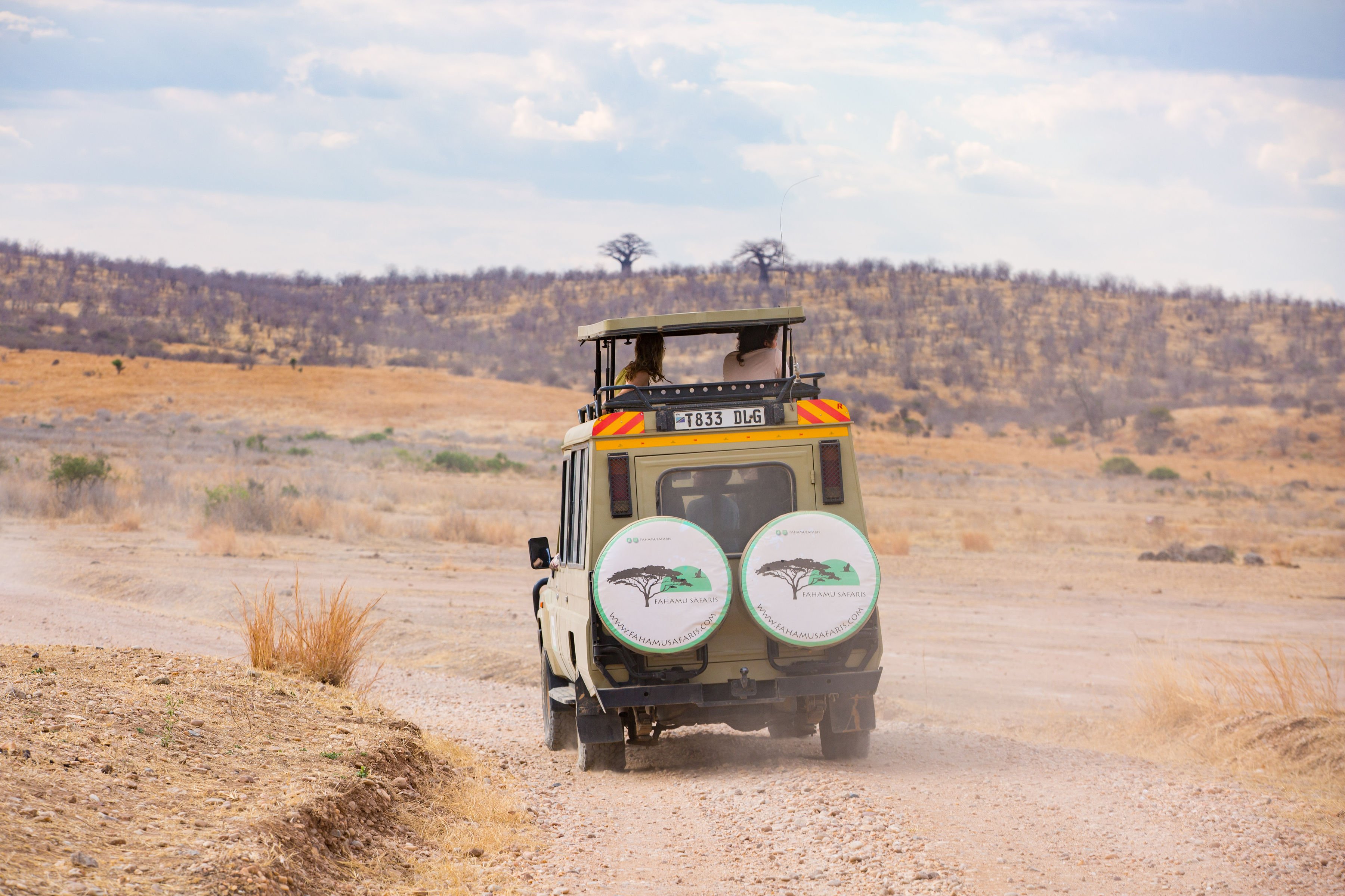 Safari de 9 jours de la Grande Migration des gnous du Serengeti - Départ | Transfert à l'aéroport - Photo du jour