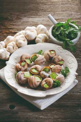 Gastronomie und Wein