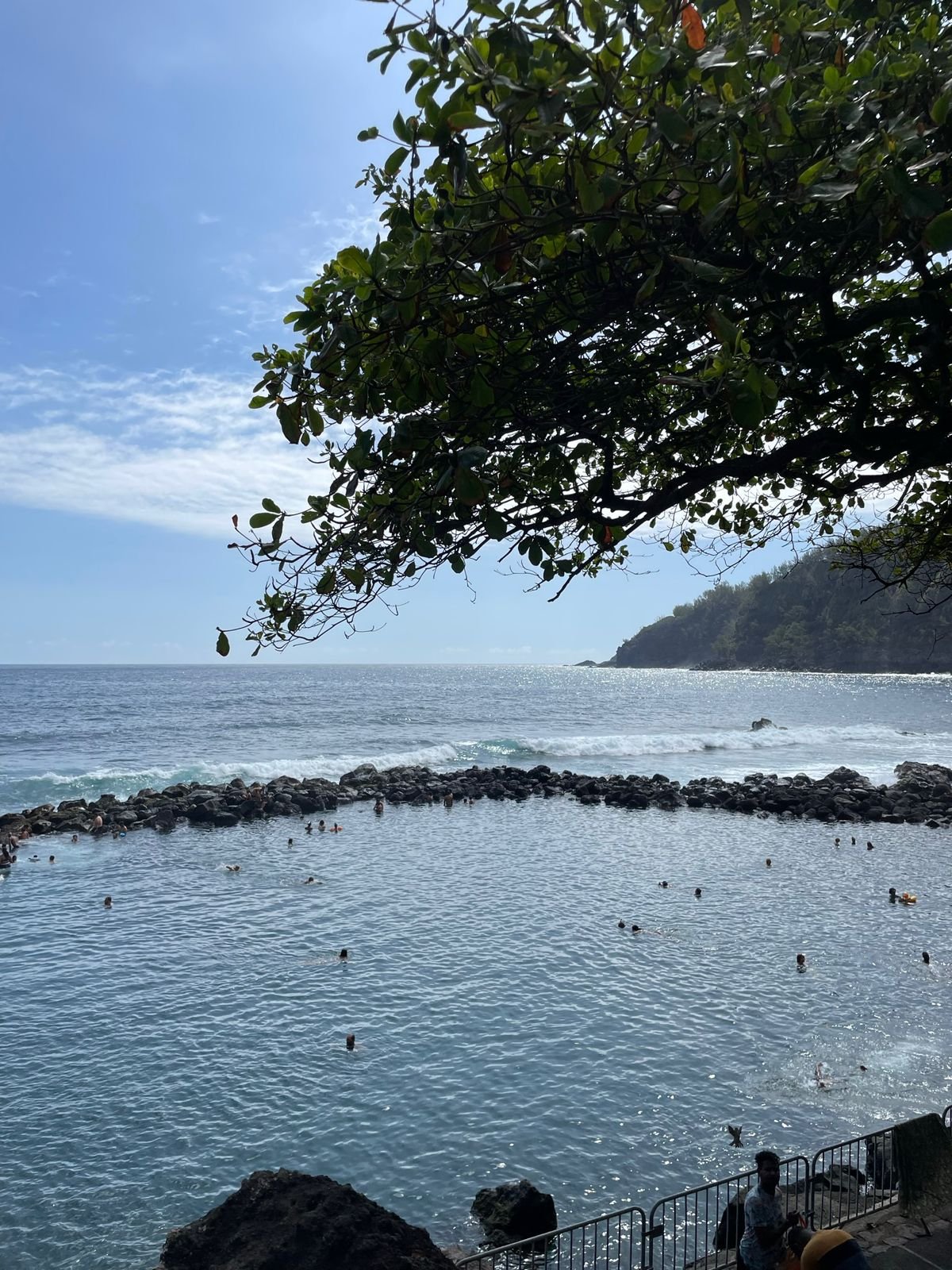 Het Essentiële van La Réunion - Zuidelijk Wild - Foto van de dag