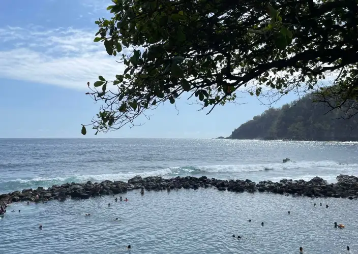 Het Essentiële van La Réunion - Zuidelijk Wild - Foto van de dag