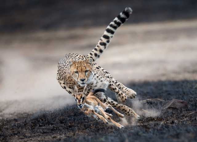 Immersione nella natura, nella cultura e un soggiorno balneare