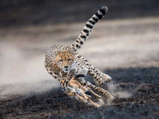 Immersion dans la nature, la culture et un séjour balnéaire