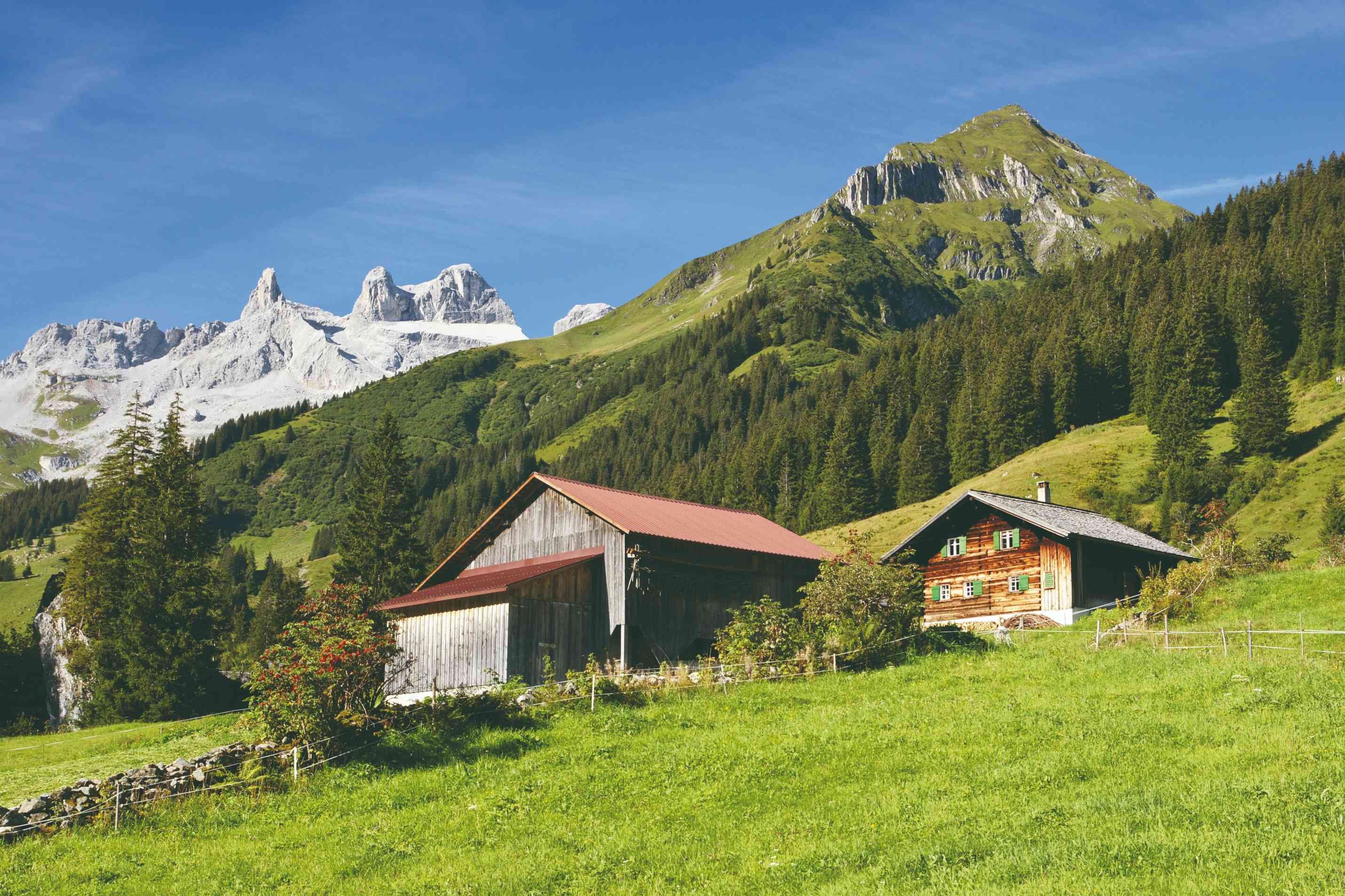 Bregenzerwald, raquettes et remise en forme dans l'ouest autrichien - Les alpages enneigés de Sibratsgfall - Les alpages enneigés de Sibratsgfall