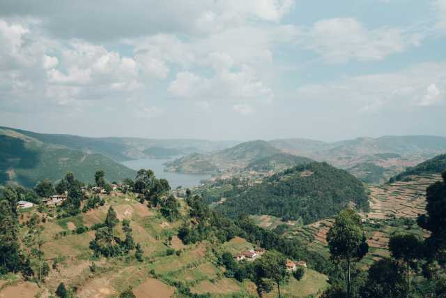 Esperienza Safari Grand Uganda di 14 giorni