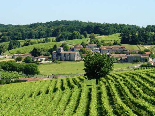 Saint-Émilion: puntare alla giusta annata.