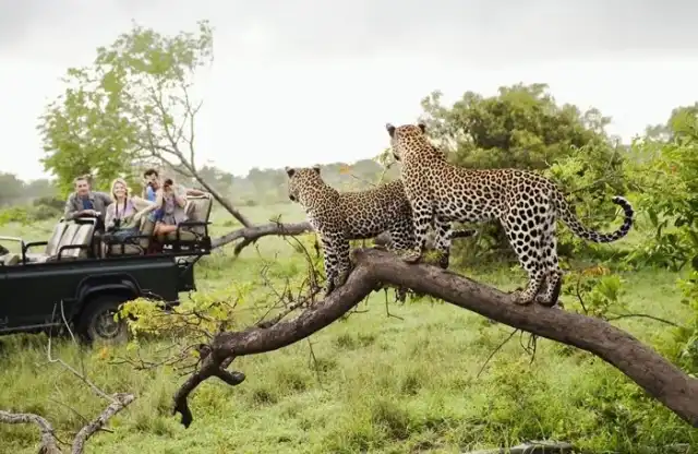 En el corazón de los tesoros de África austral