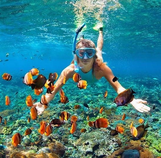 Entdecken Sie Belize: Tropische Strände & Wilde Natur - null - Tagesfoto