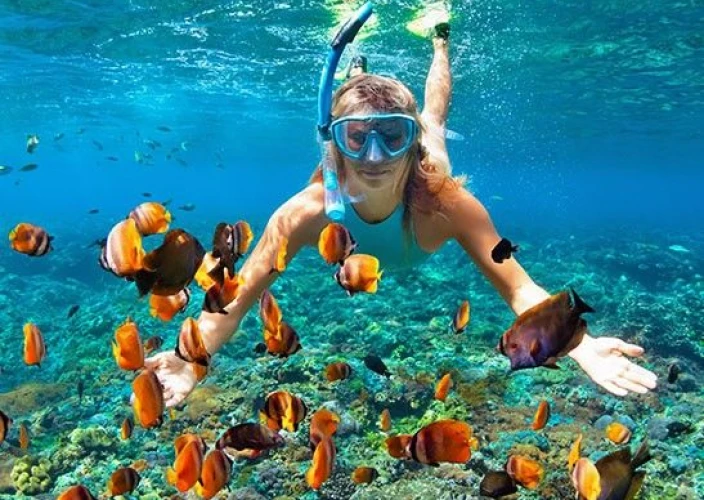 Descubra Belize: Praias Tropicais & Natureza Selvagem - Hora de mergulhar com snorkel! - Foto do dia