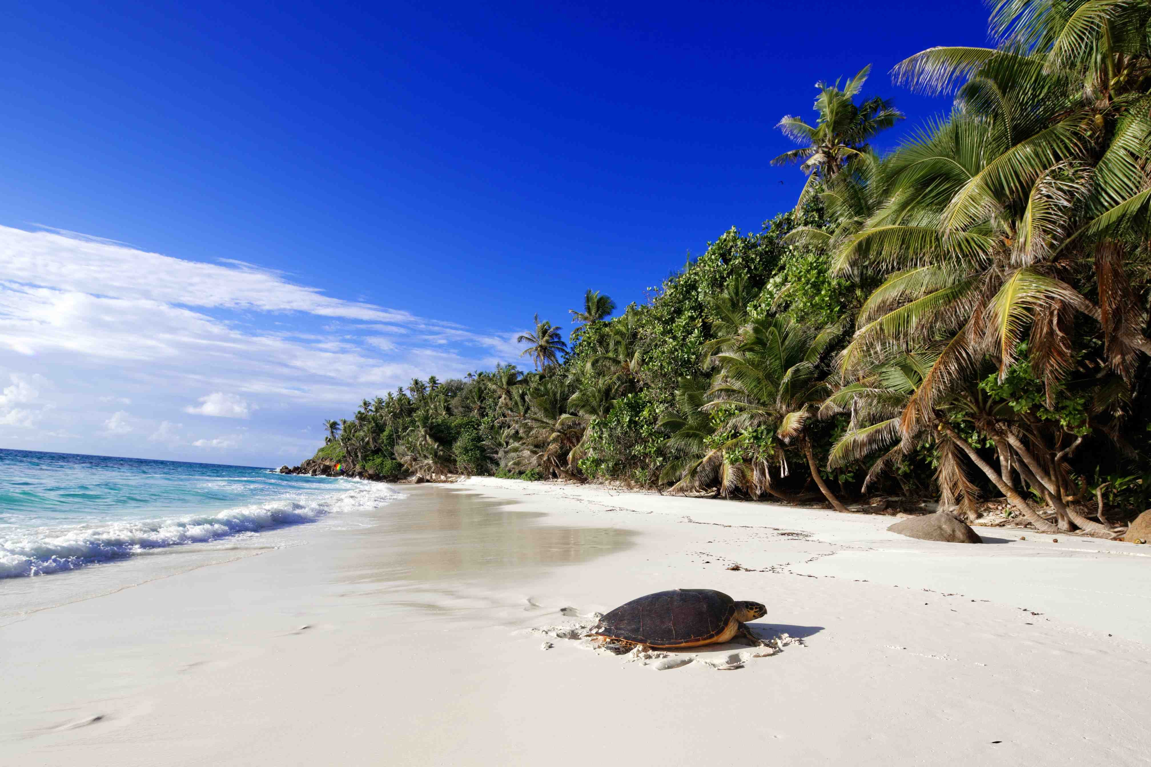 Découverte des Seychelles et de ses îles - Voici la fin - Voici la fin
