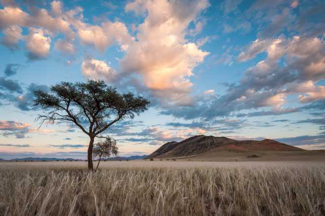 Excursión de 5 días por el desierto de Namibia - Sossusvlei Coastal