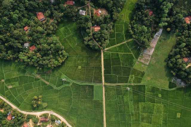 Sri Lanka: 50 tinten groen