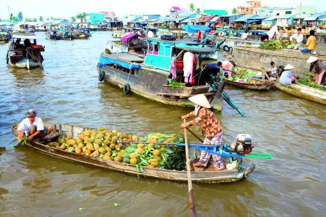 Fascino del Vietnam: un tour di 15 giorni da Nord a Sud