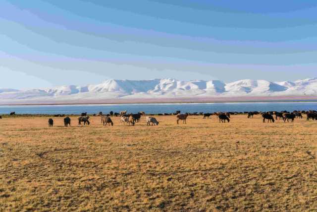 Colors of Kyrgyzstan 2021