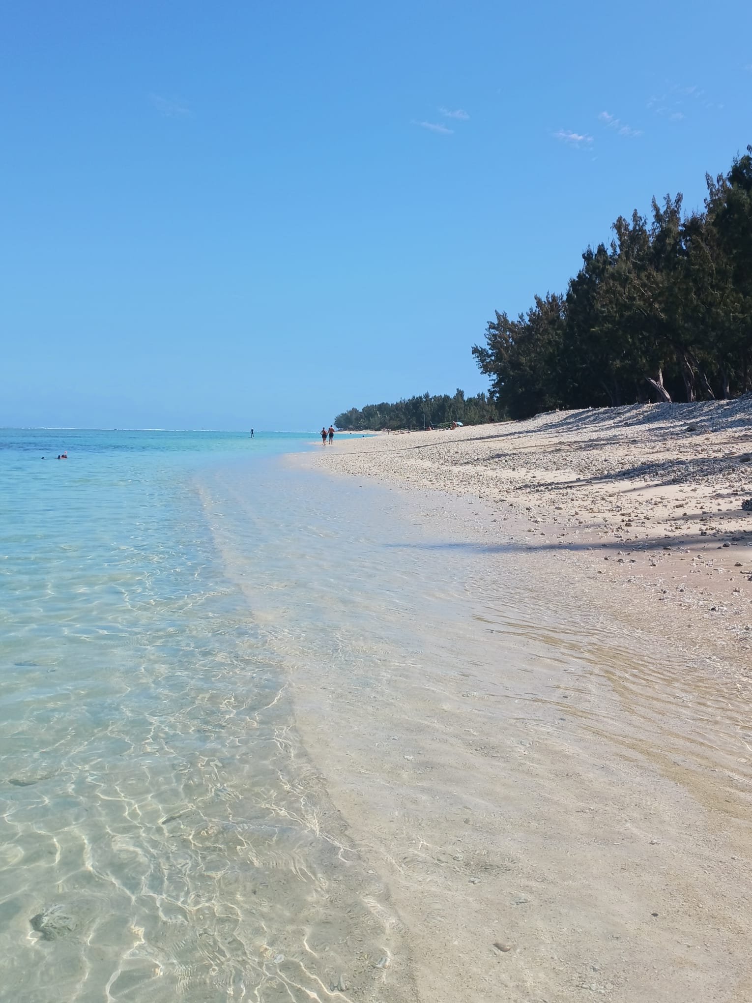 Het Essentiële van La Réunion - Het Westen - Foto van de dag