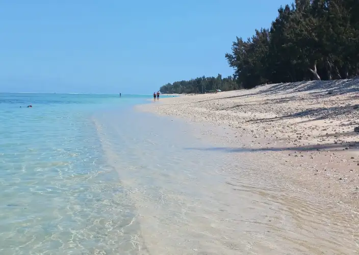 Het Essentiële van La Réunion - Het Westen - Foto van de dag