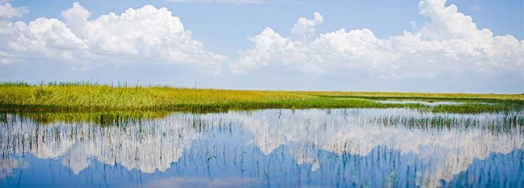 7 jours de La Havane à Miami - Excursion aux Everglades - Excursion aux Everglades
