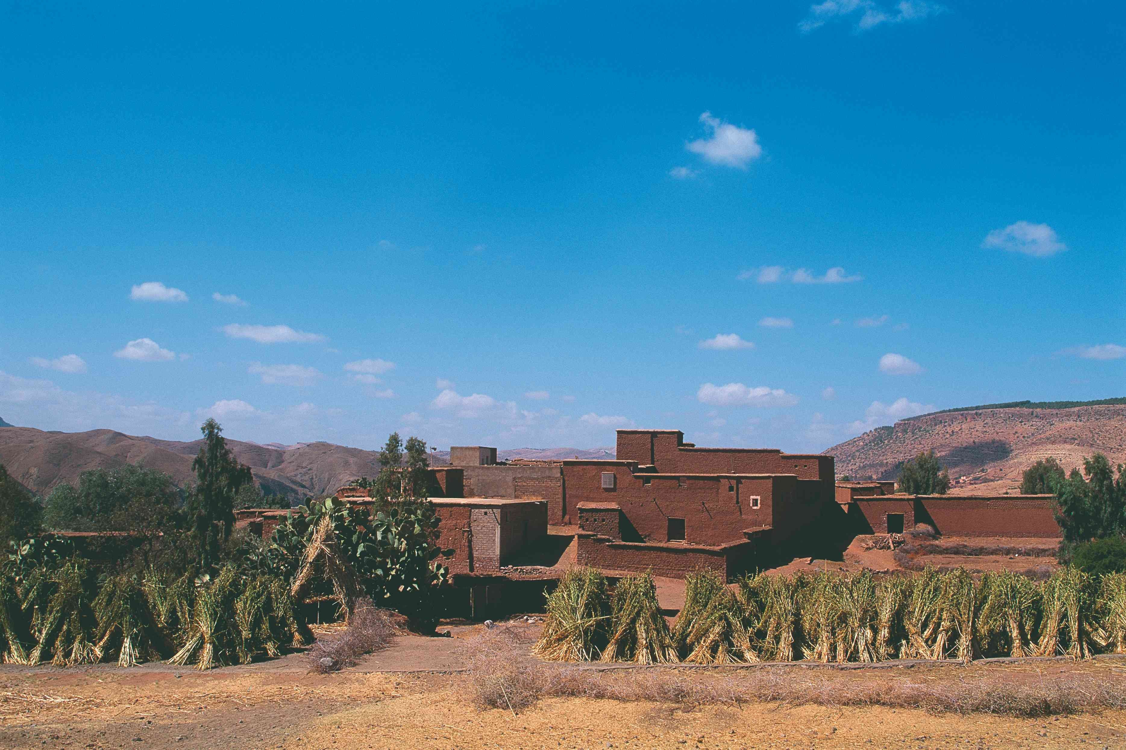 Vallei van de Rozen met duizend geuren - Tamatount - Boutaghrar - Marrakech - Tamatount - Boutaghrar - Marrakech