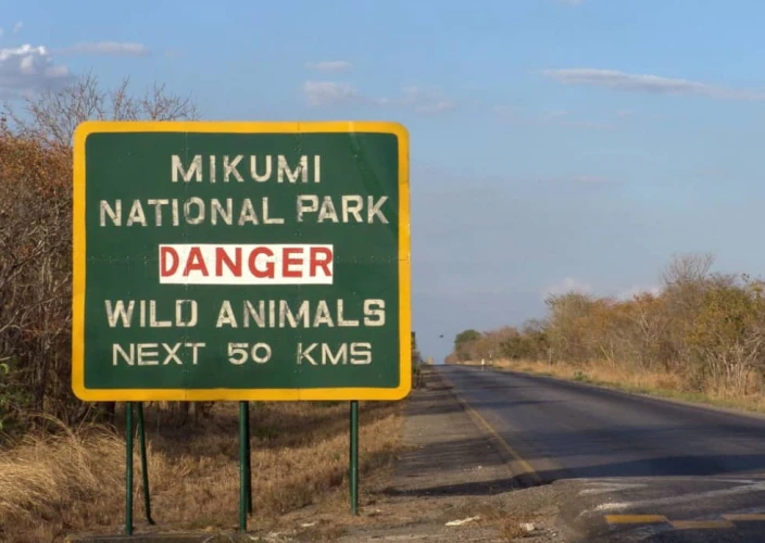 Explorez les paysages variés et la faune des trésors cachés de la Tanzanie - Dar es Salaam | Parc national de Mikumi - Photo du jour