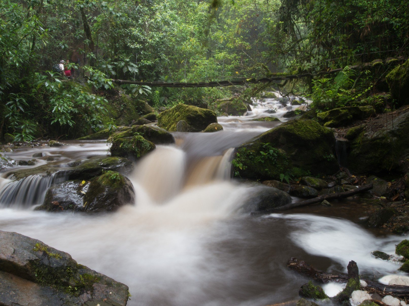 Van de Amazone tot de Stille Oceaan - Dag 10: Salento en de Cocora-vallei - Jour 10 : Salento et la vallée du Cocora