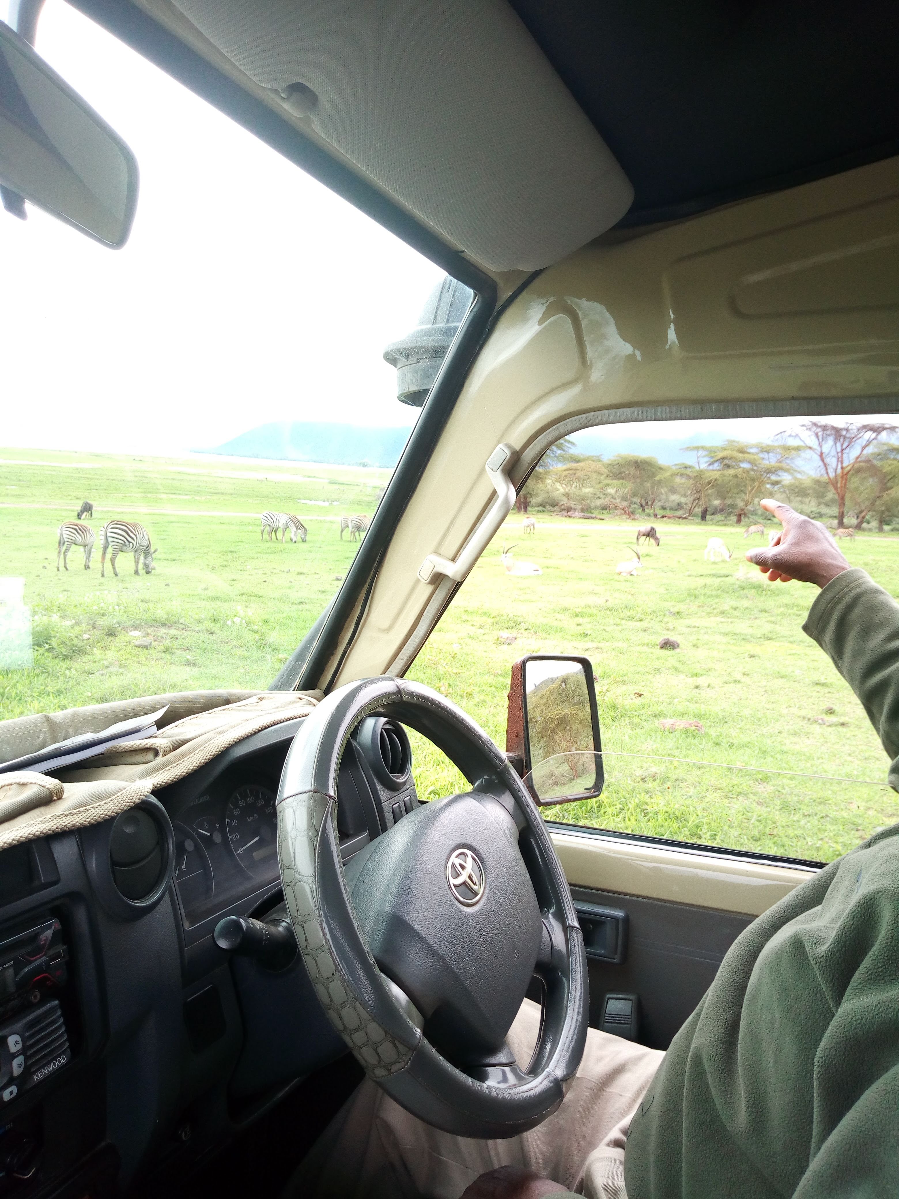 Esperienza Safari della Grande Migrazione di 7 Giorni - Un altro giorno intero a Kogatende vicino al fiume Mara - Foto del giorno