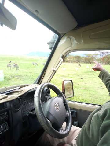 Esperienza Safari della Grande Migrazione di 7 Giorni