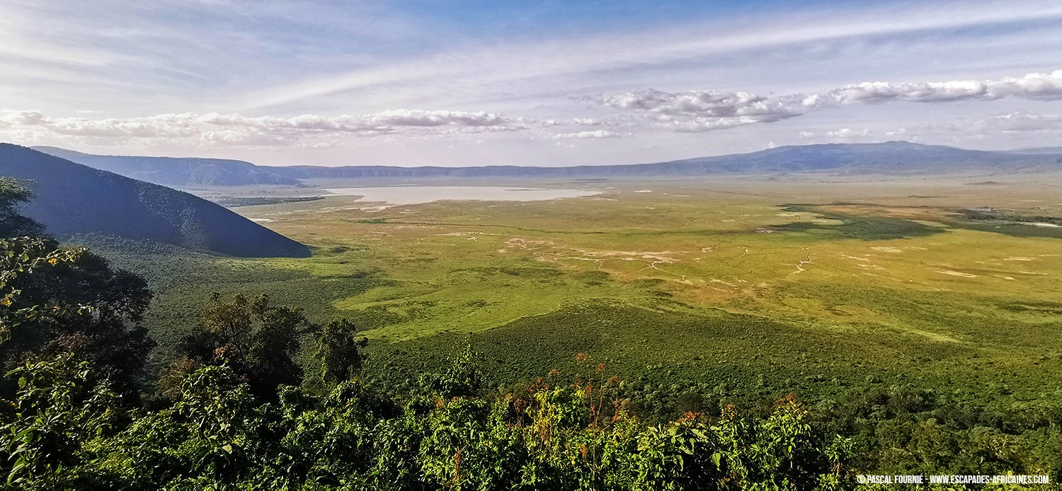 Safari Serengeti-Ndutu Migration - Ngorongoro-Krater - Cratère Ngorongoro Tanzanie