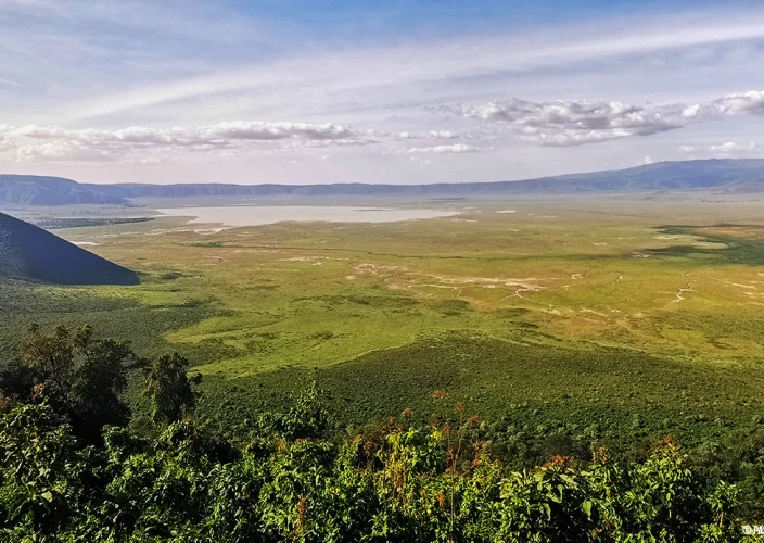 Safari Serengeti-Ndutu Migration - Cratère de Ngorongoro - Cratère Ngorongoro Tanzanie