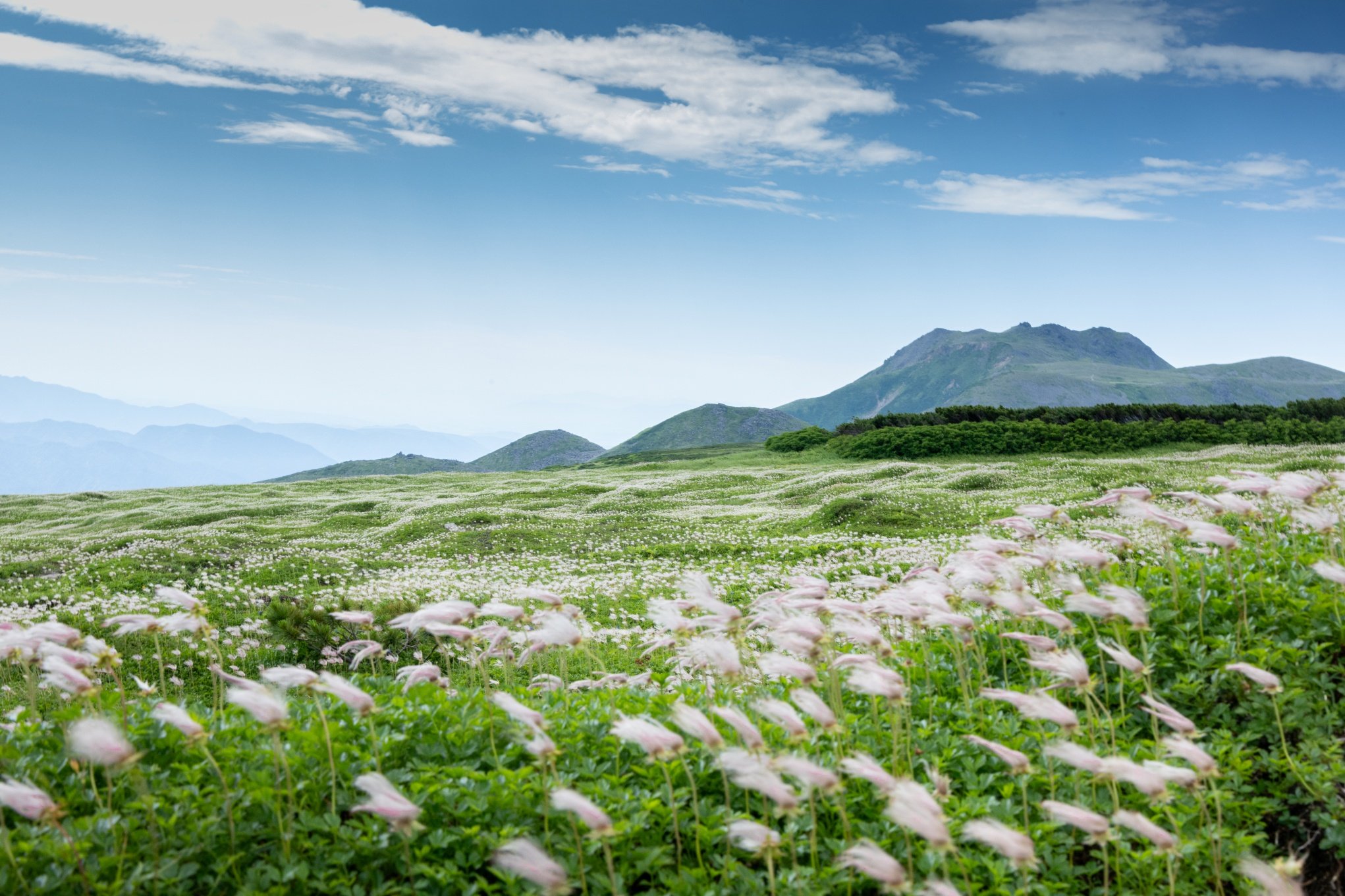 Japan, crossing the Daisetsuzan National Park and the wonders of Hokkaido - Trek - stage 2 - Photo of the day