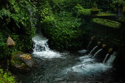 Bali en famille avec des ados : aventures, culture et moments inoubliables sur l’île des Dieux. - Rocky à Bali : le lever du champion ! - Photo du jour