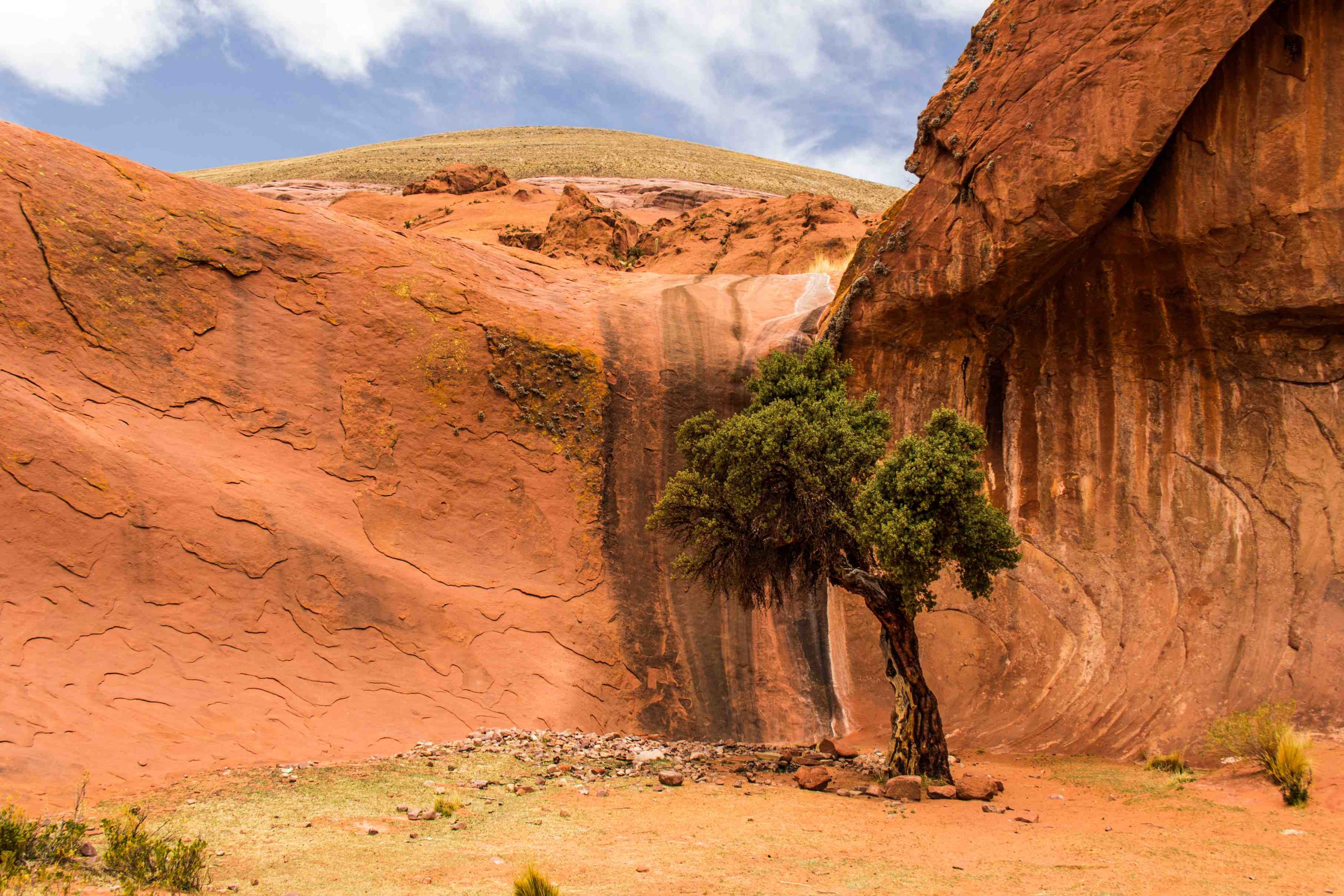 Rencontres et saveurs dans le nord de l'Argentine - Huacalera - Humahuaca - Cerro Hornocal - Salta - Huacalera - Humahuaca - Cerro Hornocal - Salta